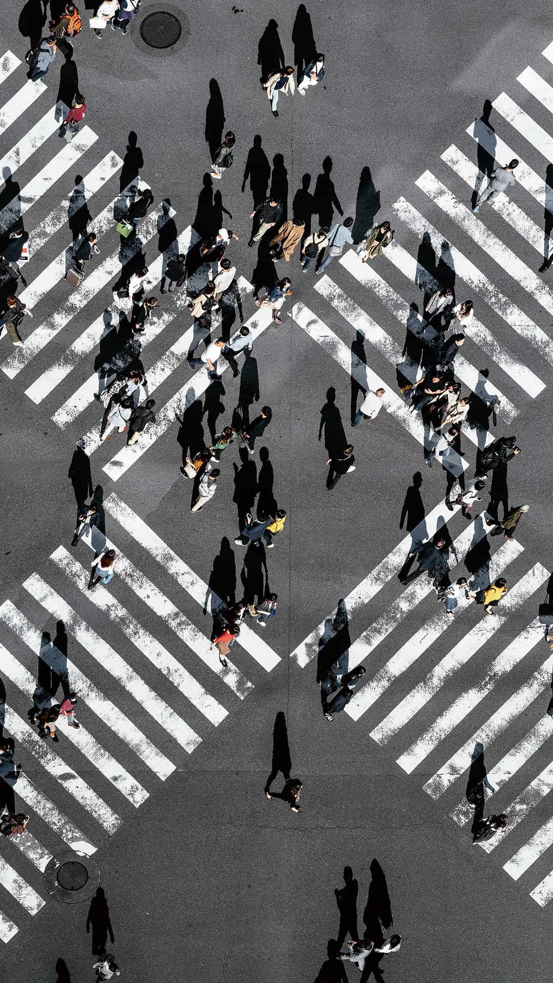 每日一句海报