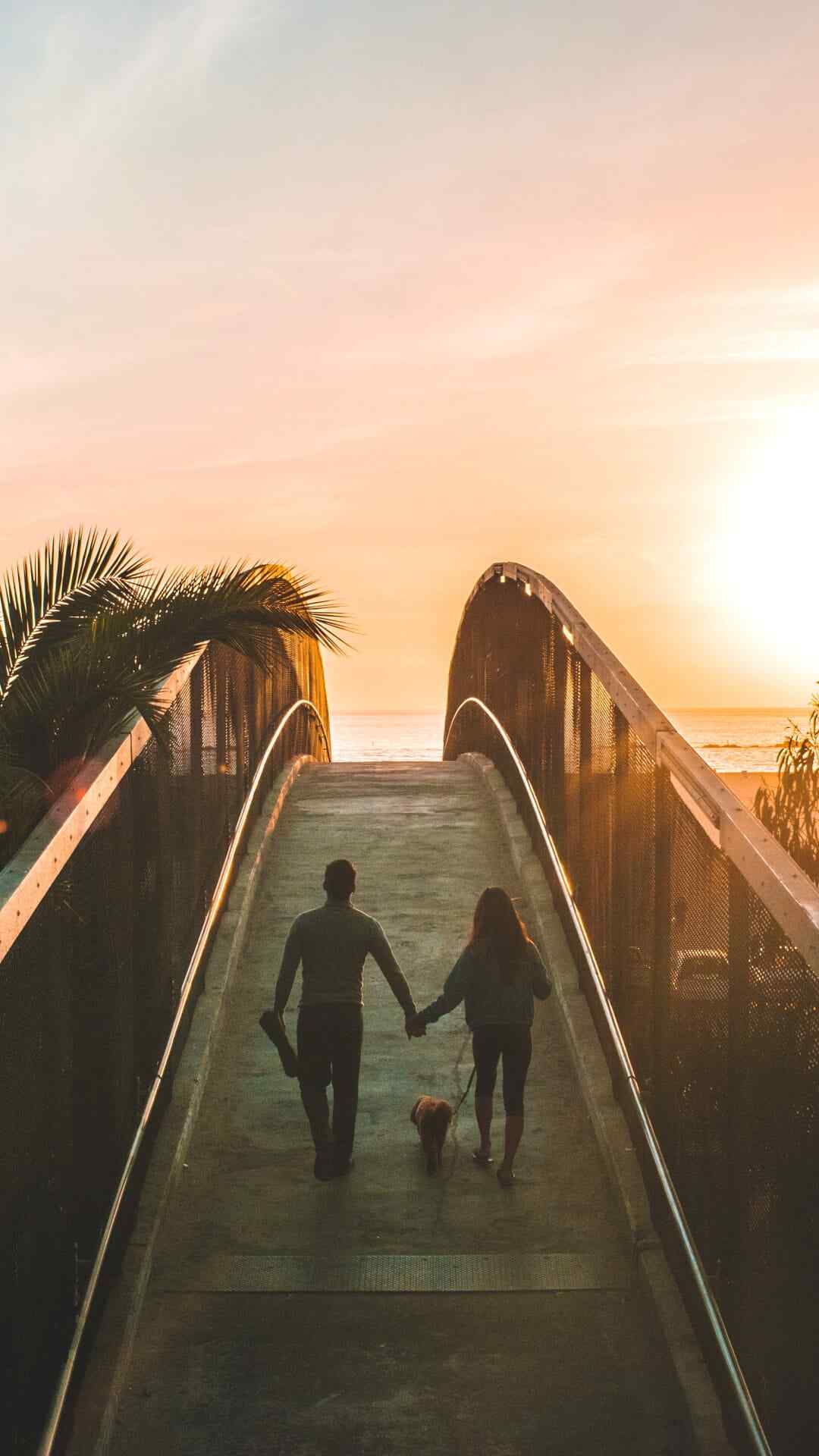 每日一句海报