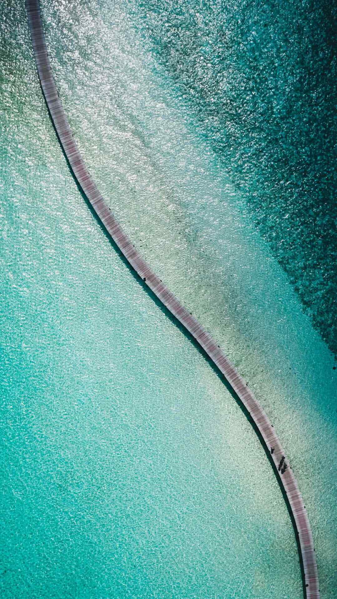 每日一句海报