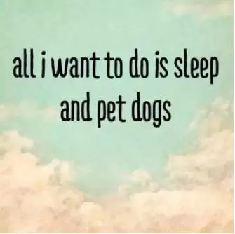 比《马男》更扎心，这碗“丧网红”的毒鸡汤我干了