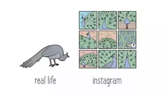 比《马男》更扎心，这碗“丧网红”的毒鸡汤我干了