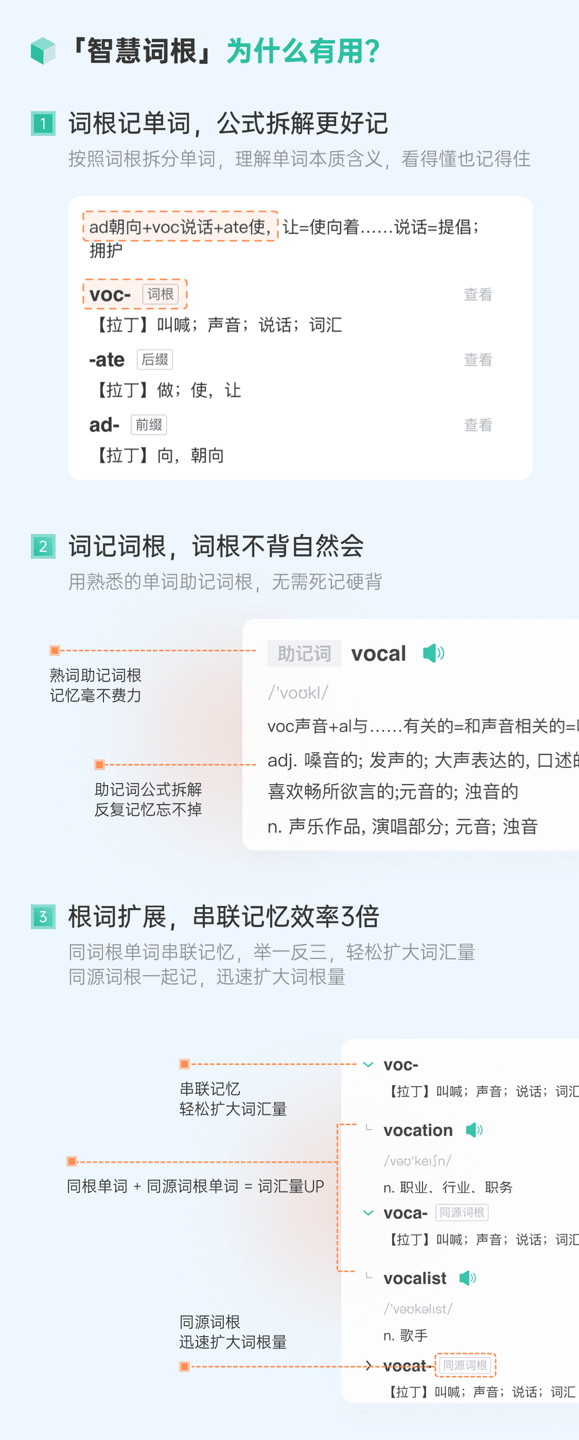 智慧词根